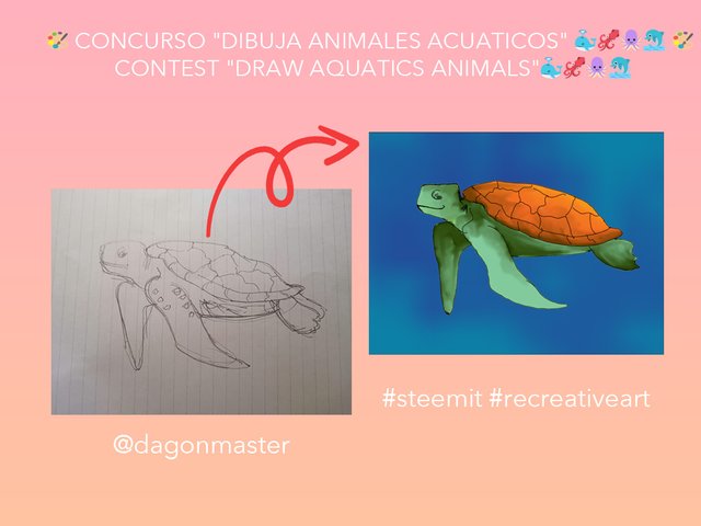 Turtle contest.jpg