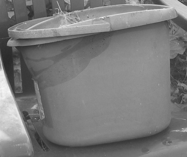 bucket greyscale detail.jpg