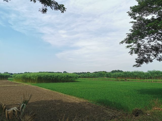 IMG_20240906_145527.jpg