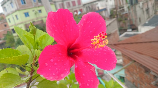 20250920_085418.jpg