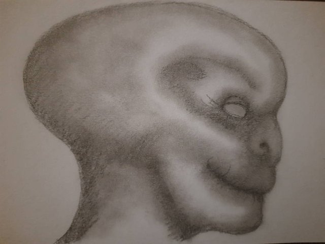 20250724_104749.jpg