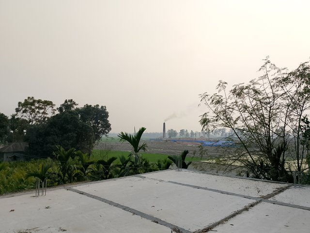 1000031151.jpg