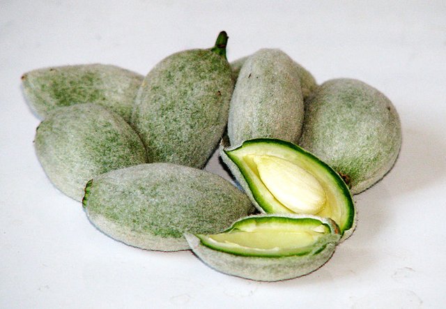 800px-Green_almonds.jpg