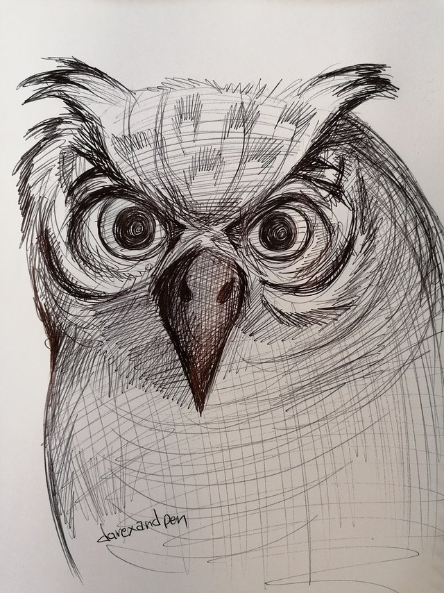owl pen (11).jpg