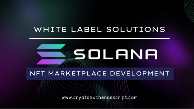 solona-nft-marketplace-development.png