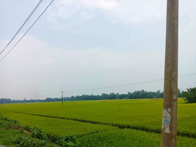 IMG_20250502_201109.jpg