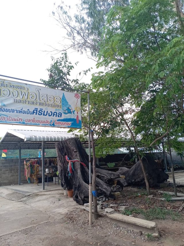 Chanthaburi4.jpg