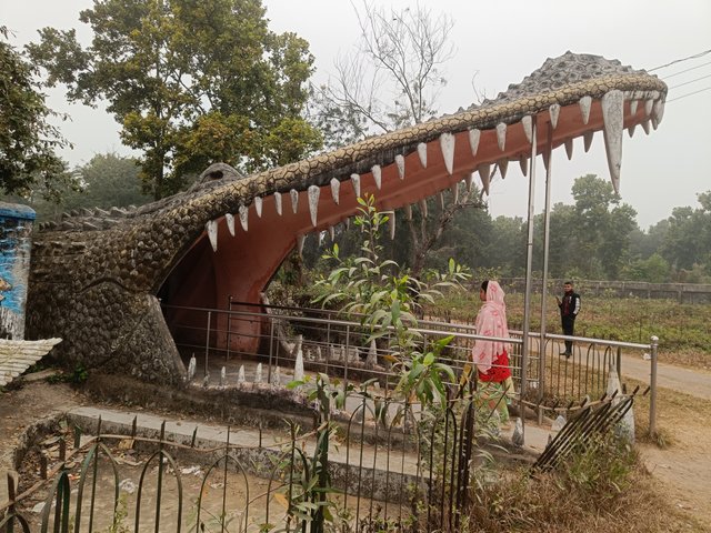 IMG20250103142231.jpg