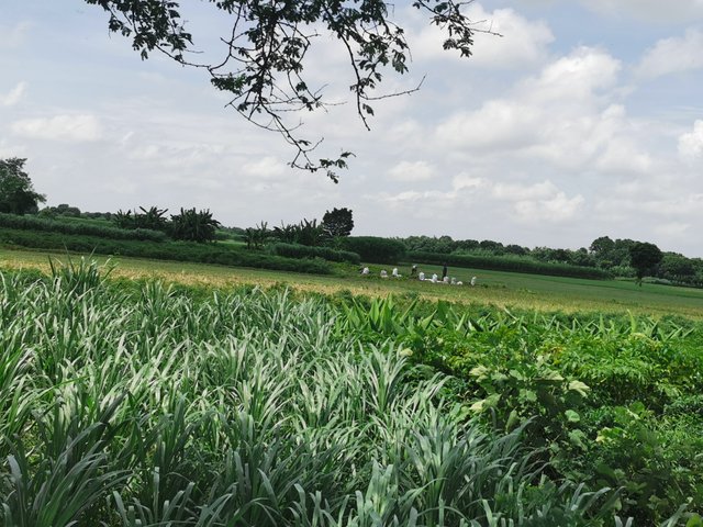 IMG_20240910_121357.jpg
