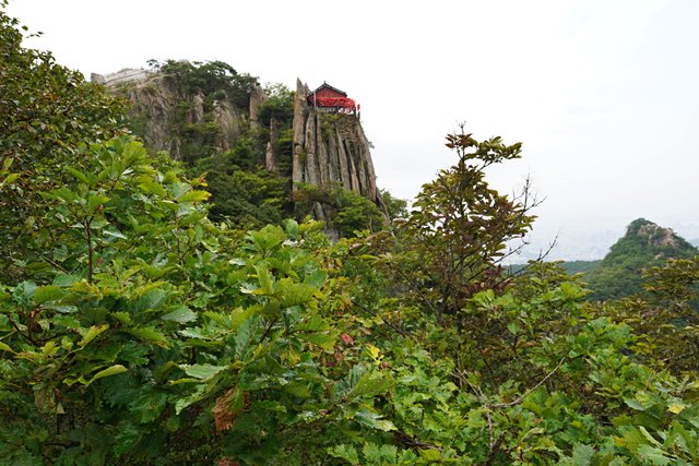 b-DSC02247.JPG