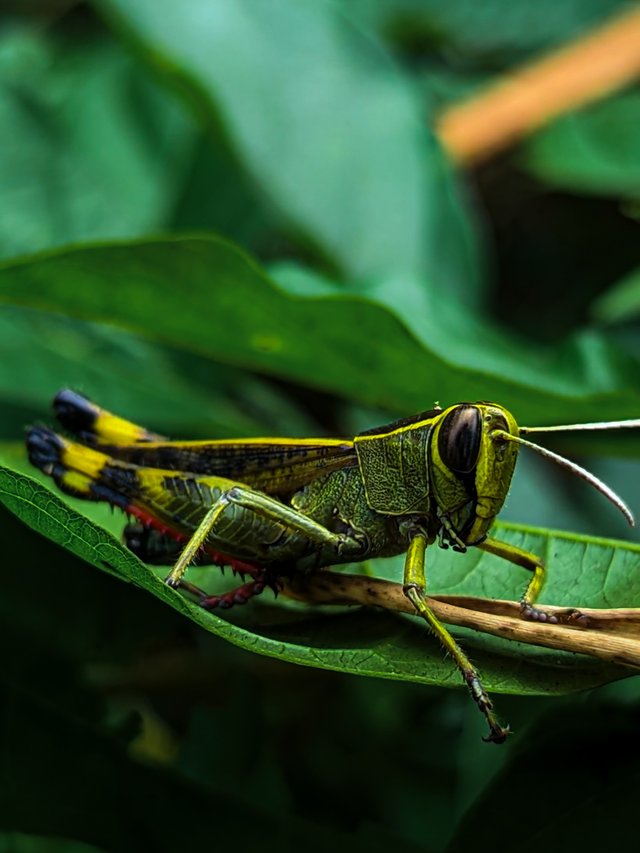 1756890278791 (1).jpg