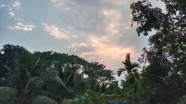 IMG_20250918_164641_356.jpg