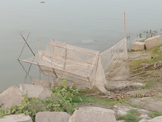 1000010530.jpg