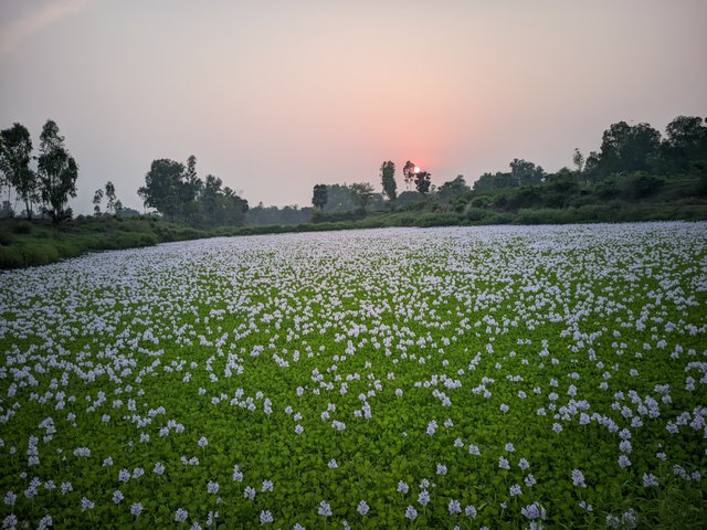 1000003421.jpg