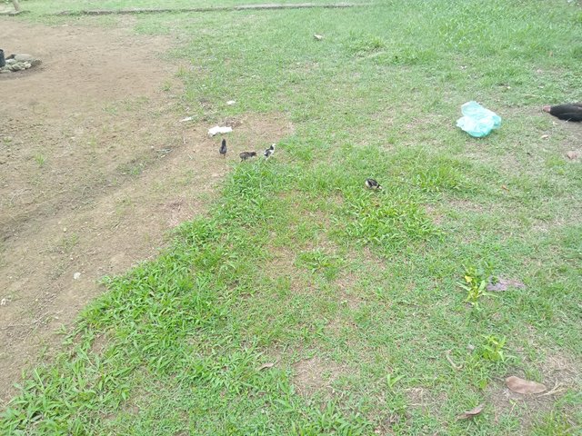 IMG20250409103338.jpg