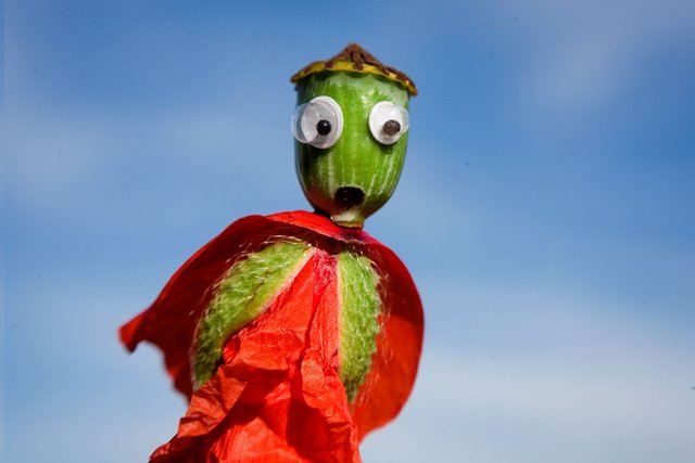 Poppy Puppet #GooglyEyes portrait close-up macro title image by @fraenk