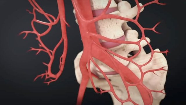 create-medical-animation-3d-medical-animation-medical-3d-animation-video.jpg