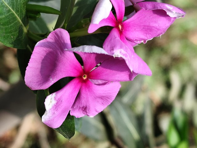 IMG_20250401_102725.jpg