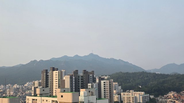1000125036.jpg