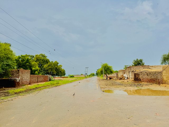 IMG_5826.jpeg
