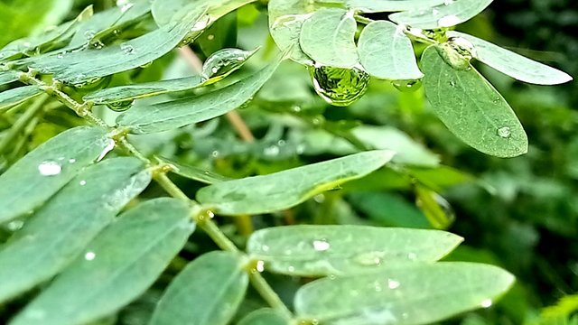 20250718_152202.jpg