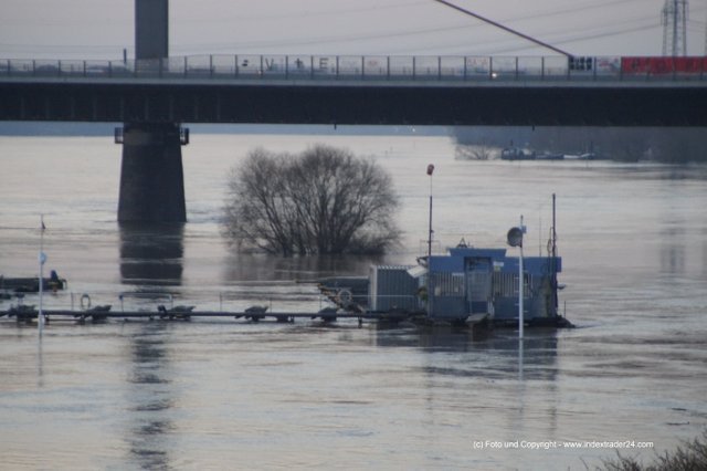 201801 Rheinbrück Hochwasser Leverkusen A1.jpg