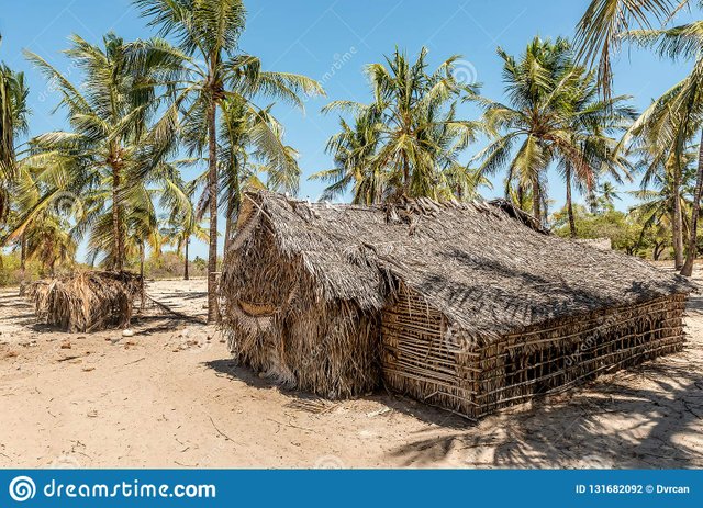 palm-trees-houses-lamu-island-kenya-africa-131682092.jpg