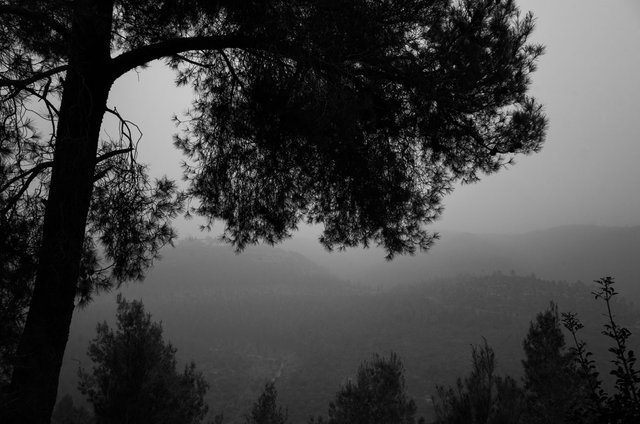 Foggy_Jerusalem_Mountains_2021_by_Victor_Bezrukov-7.jpg