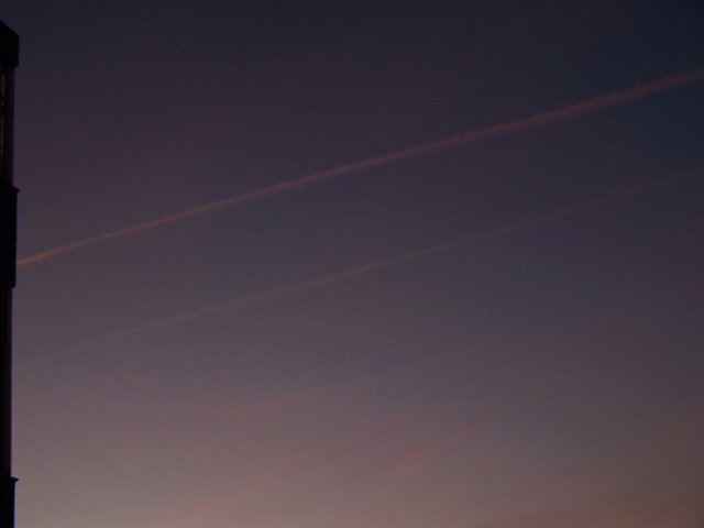 100_2098 2212 steemit.JPG