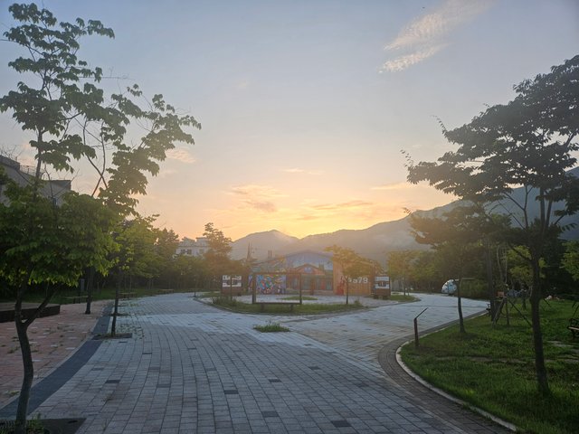 1000033780.jpg