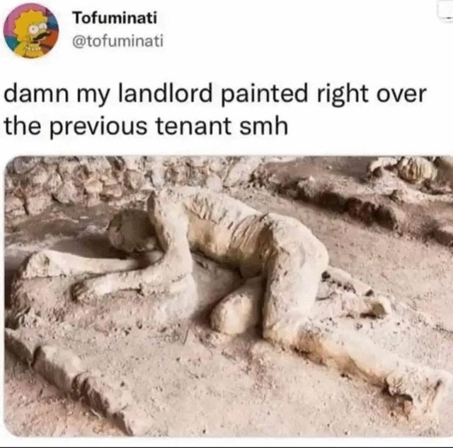 animal-tofuminati-tofuminati-damn-my-landlord-painted-right-over-previous-tenant-smh.jpg