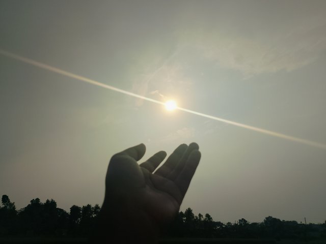 1000016589.jpg