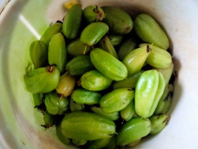 IMG20250801175650.jpg