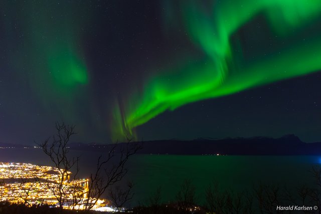 Nordlys Narvik-2.jpg