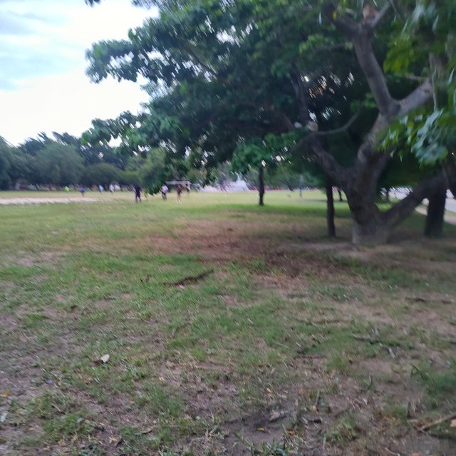 1000610589.jpg