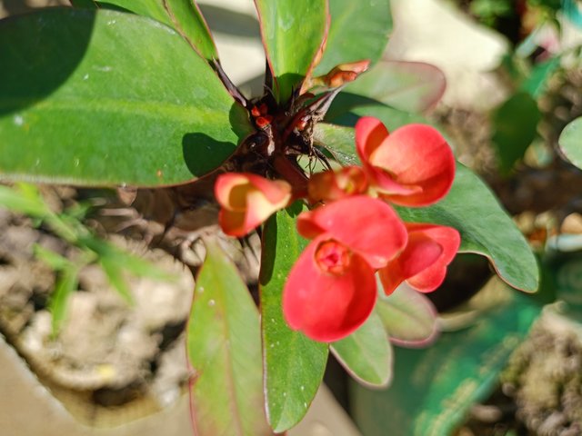 IMG20241120111413.jpg