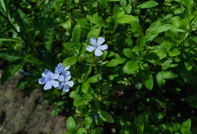 20250626_123858.jpg