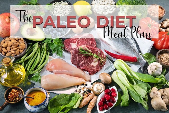 Paleo-diet-meal-plan.jpg