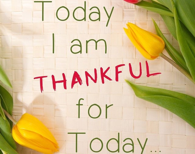 thankful-1081614_1280.jpg