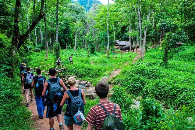 Chiang-Mai-Trek-Jungle-Trekking.jpg