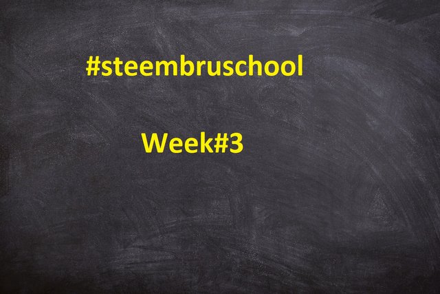 steembruschool 3.jpg