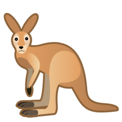 kangaroo_1f998.png