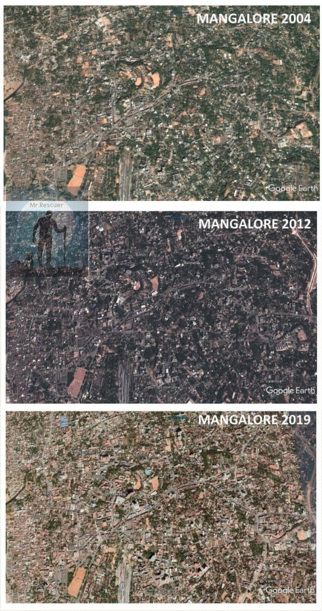 deforestation of mangalore.jpg