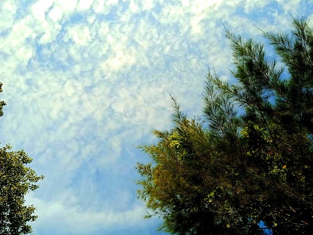 IMG-20250913-WA0144.jpg