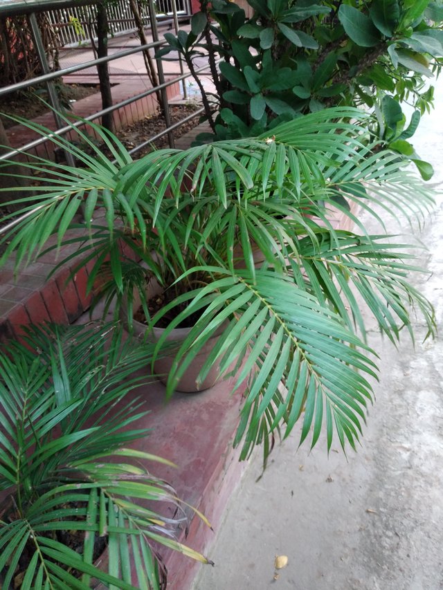 20250627_180227.jpg