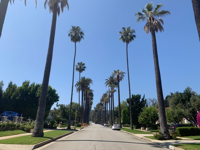 Beverly Hills13.jpg