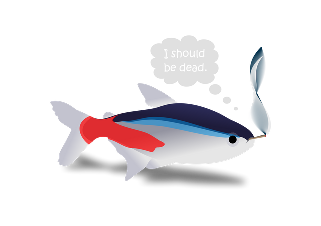 why should the fish be dead.png