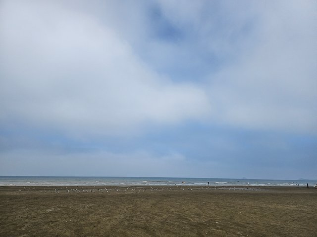 20250804_120041.jpg