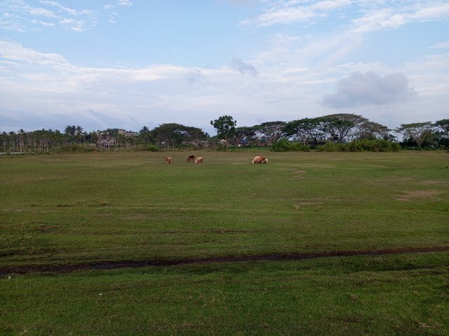IMG_20250309_175533_806.jpg