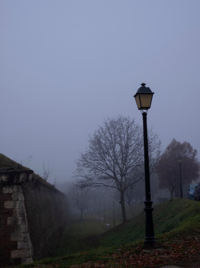 fog9.jpg